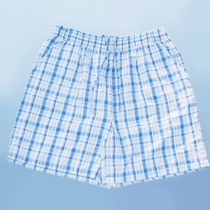 Early 2000s VTG, blue plaid, high waisted shorts